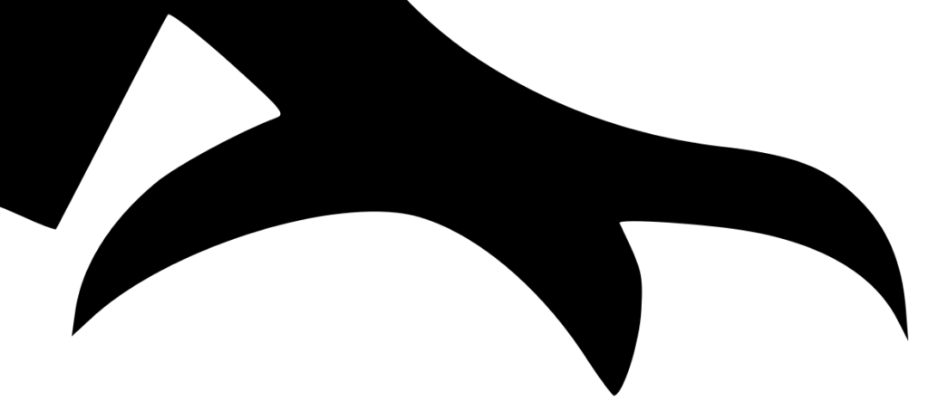 Nahaufnahme des Fußes des Webfalken-Logo in PNG